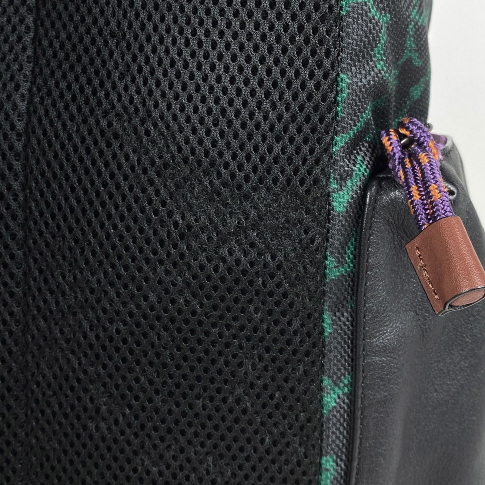 Leather Coach Backpack - 4