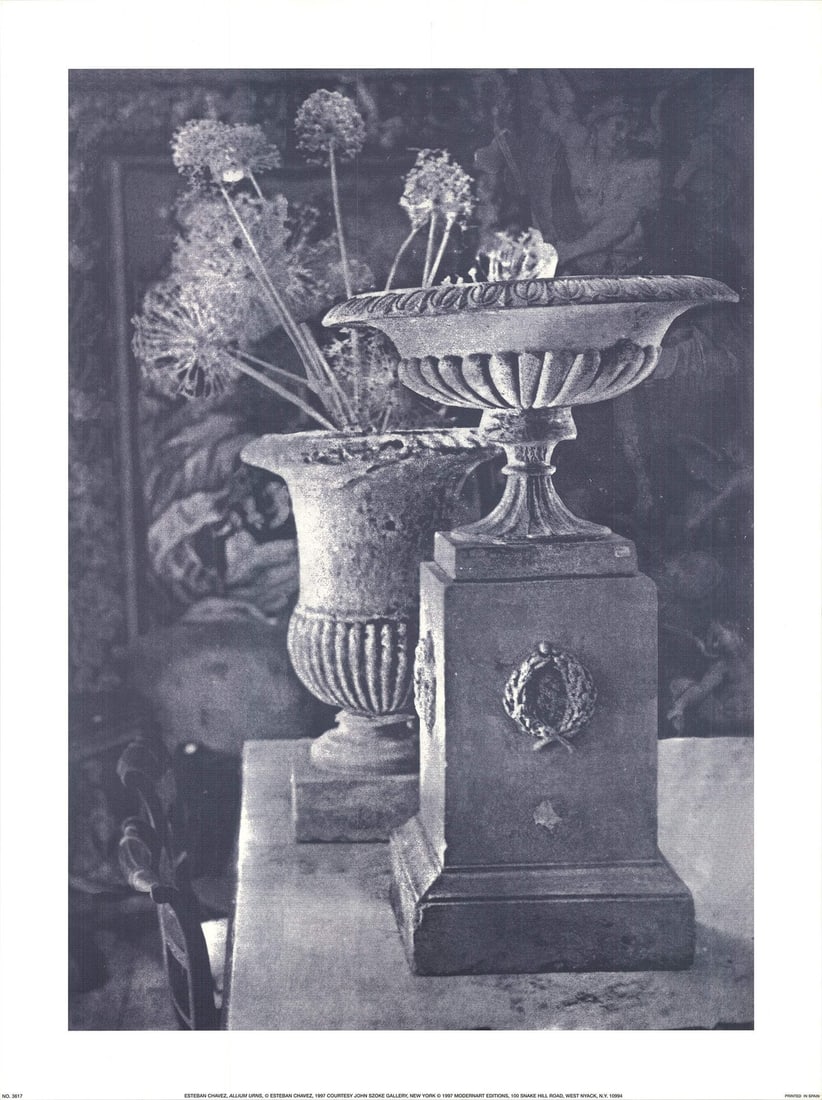 & ESTEBAN CHAVEZ Allium Urns 32" x 24" Offset Lithograph 1997 Photography Black (1 of 1)