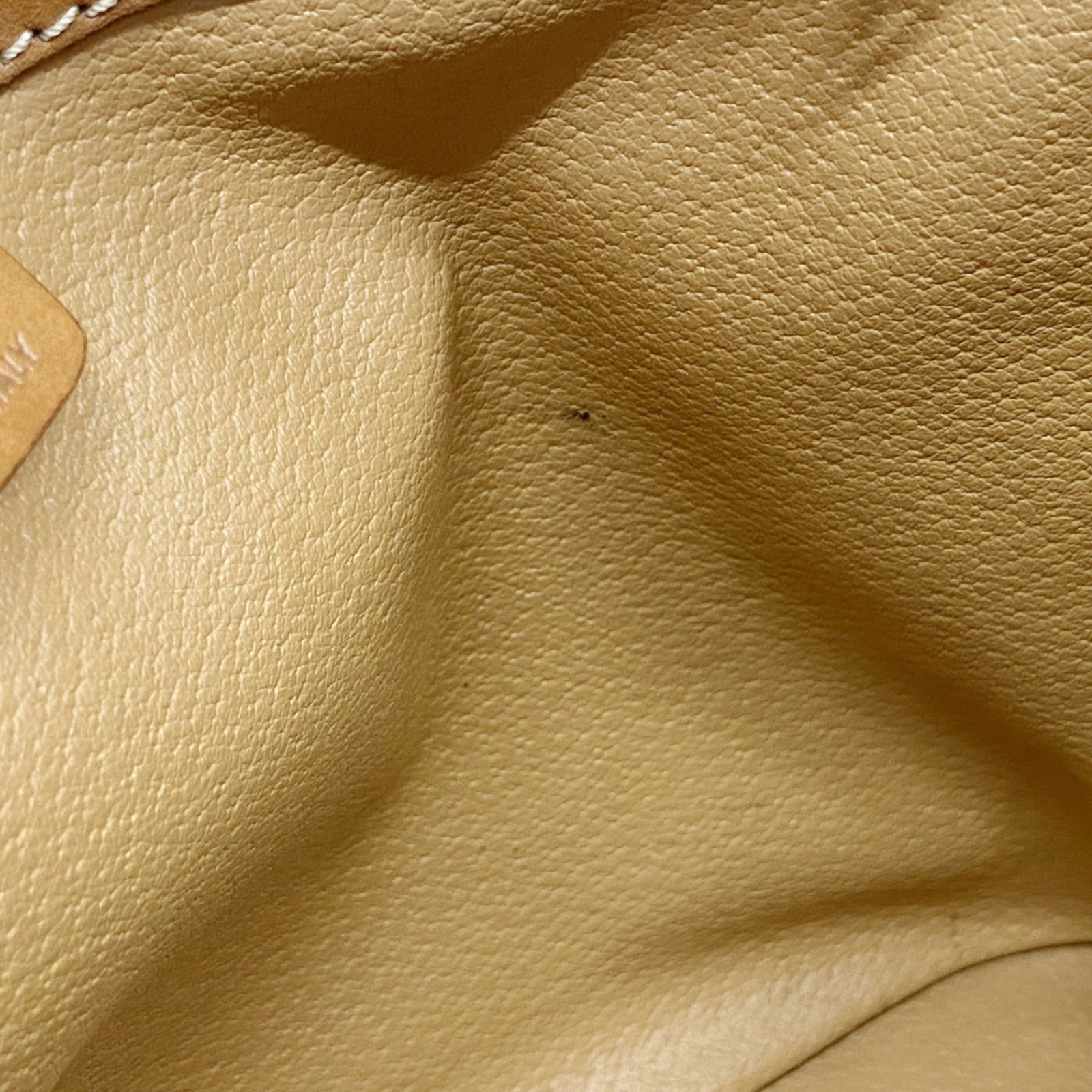 Pvc Celine Handbag - 10