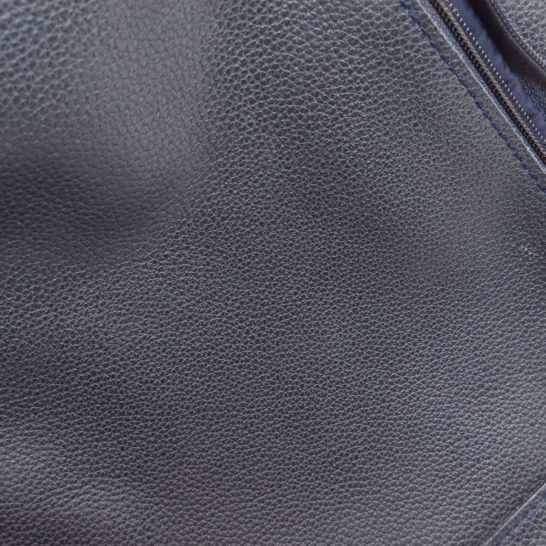 Leather Longchamp logo Backpack Daypack - 20