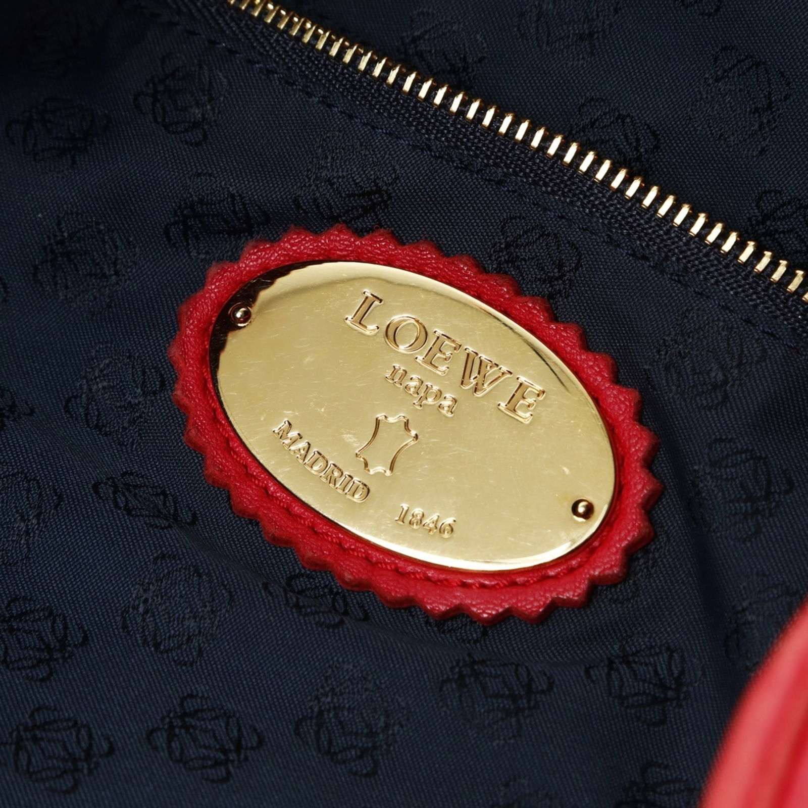 Bag Loewe Shoulder - 10