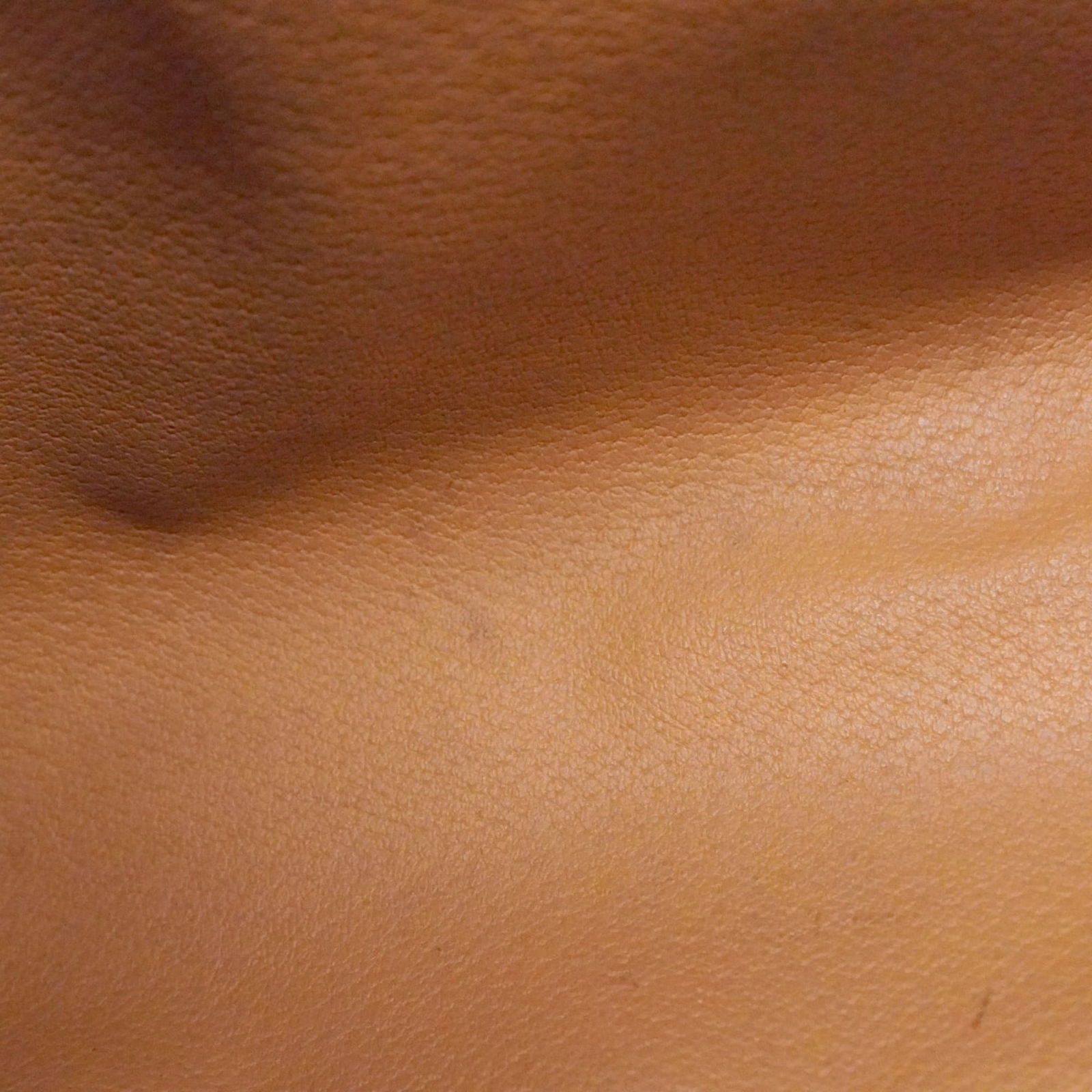 Pvc Celine Handbag - 19