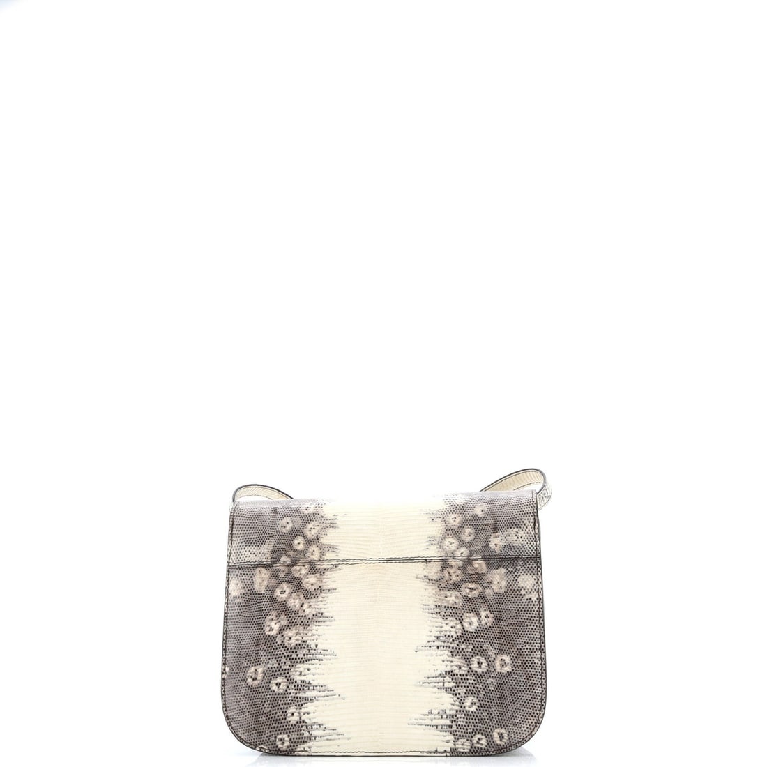 Medium Celine Classic Box Bag Lizard - 3