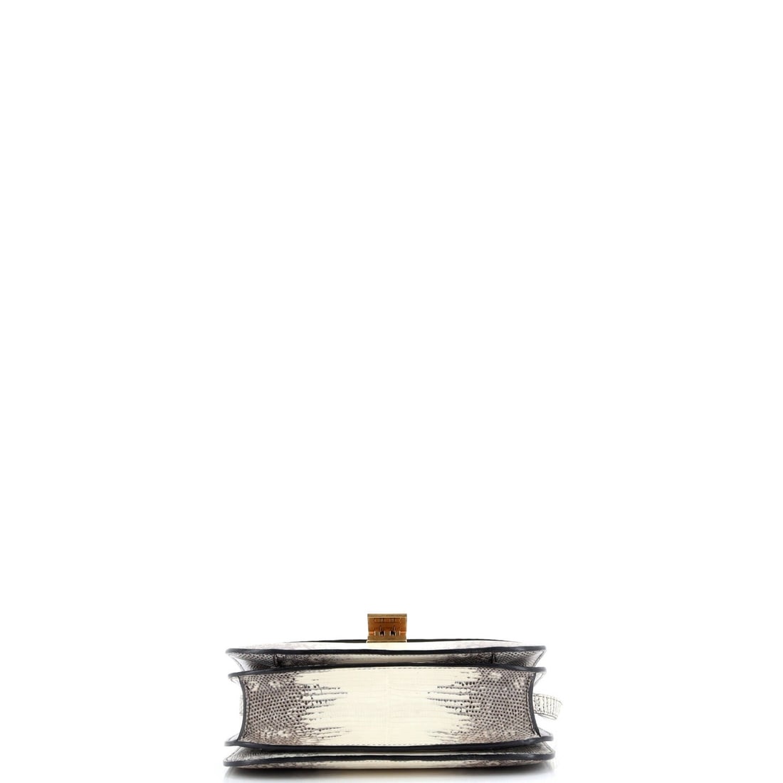 Medium Celine Classic Box Bag Lizard - 4