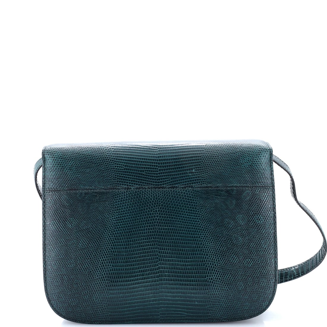 Medium Celine Classic Box Bag Lizard - 3
