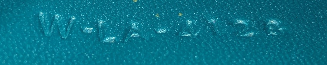 Medium Celine Classic Box Bag Lizard - 6