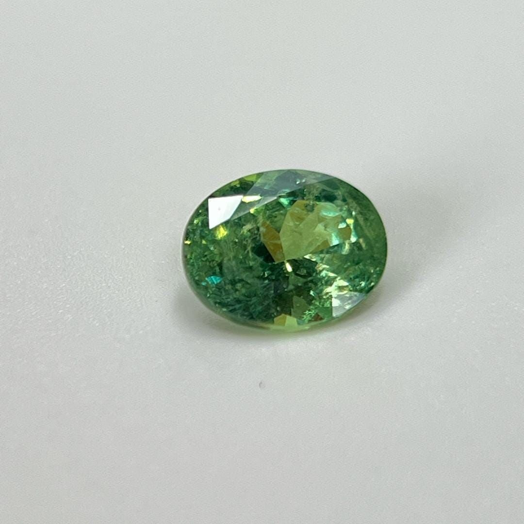 Loose Garnet Gemstone - Oval 1.9ct Green SI: Loose Garnet Gemstone - Oval 1.9ct Green SI This listing features Loose Garnet Gemstone - Oval 1.9ct Green SI. Item specifics are provided below. Item Specifics: Type: Garnet Carat: 1.9 Cut: Faceted C