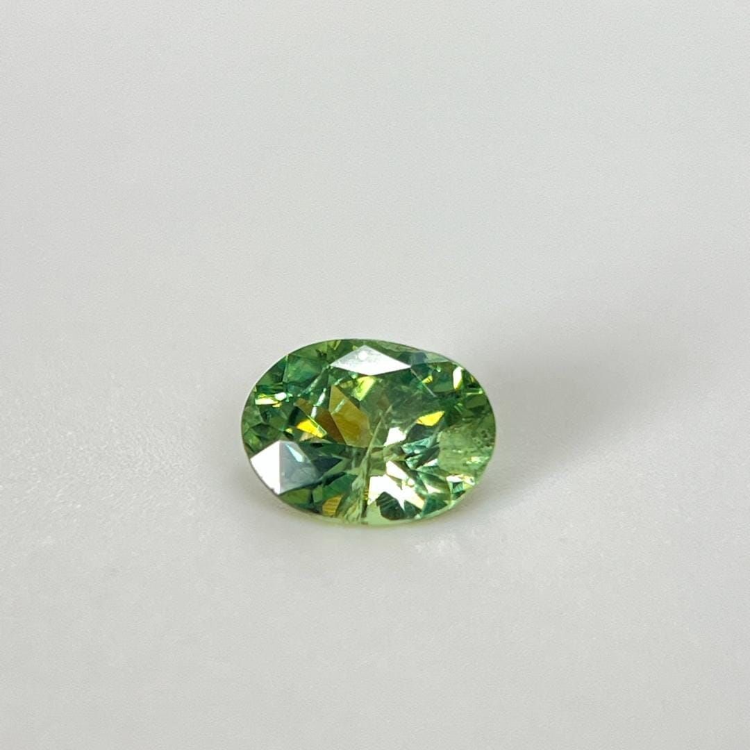 Loose Garnet Gemstone - Oval 1.34ct Green SI (1 of 1)