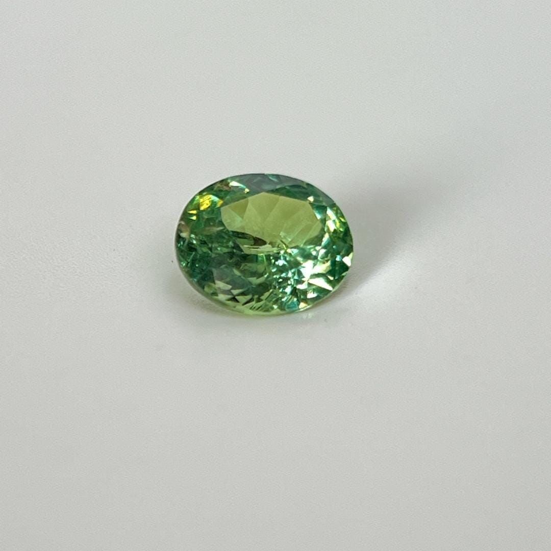 Loose Garnet Gemstone - Oval 1.21ct Green SI: Loose Garnet Gemstone - Oval 1.21ct Green SI This listing features Loose Garnet Gemstone - Oval 1.21ct Green SI. Item specifics are provided below. Item Specifics: Type: Garnet Carat: 1.21 Cut: