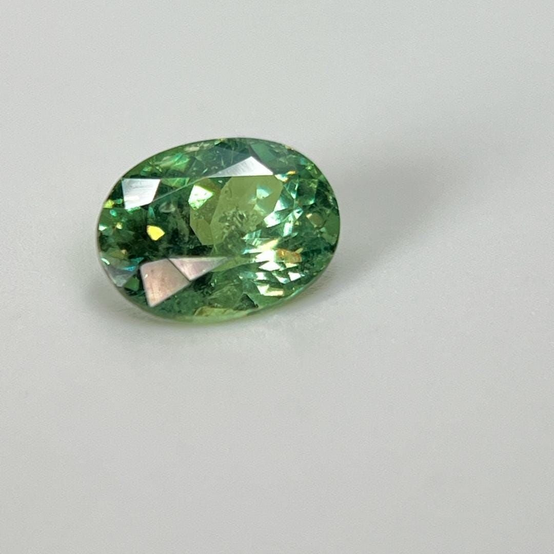 Loose Garnet Gemstone - Oval 2.24ct Green SI (1 of 1)