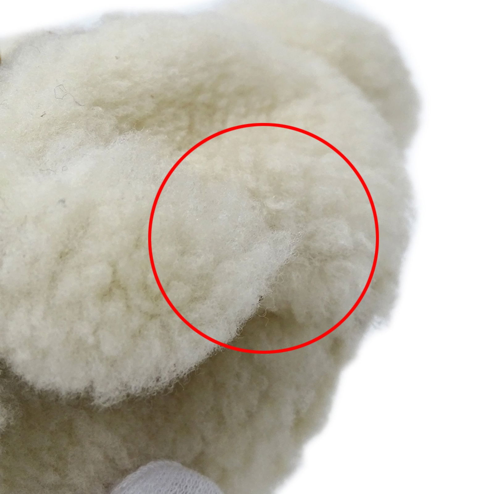 Charm Loewe Handbag - 10