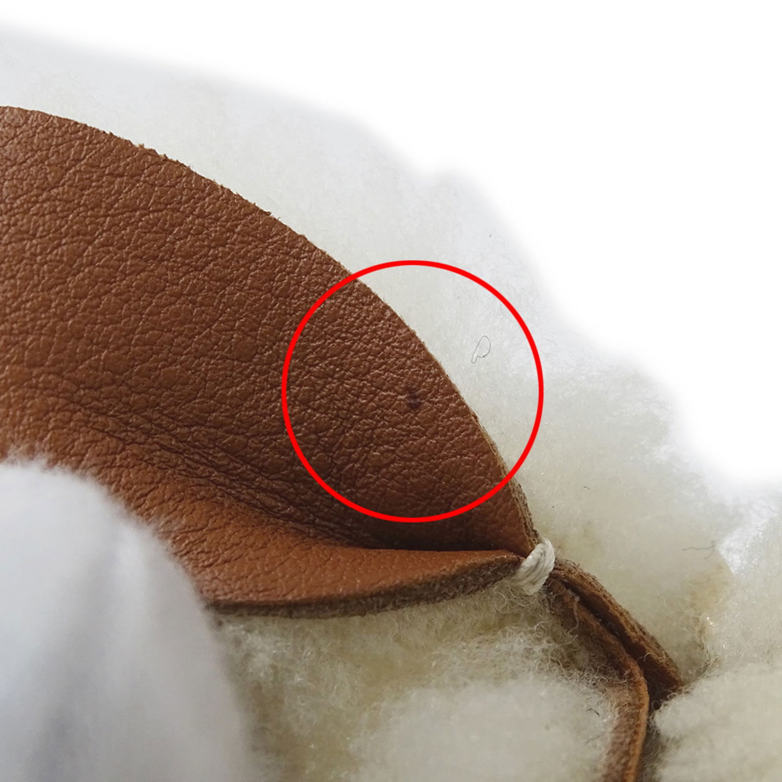 Charm Loewe Handbag - 9