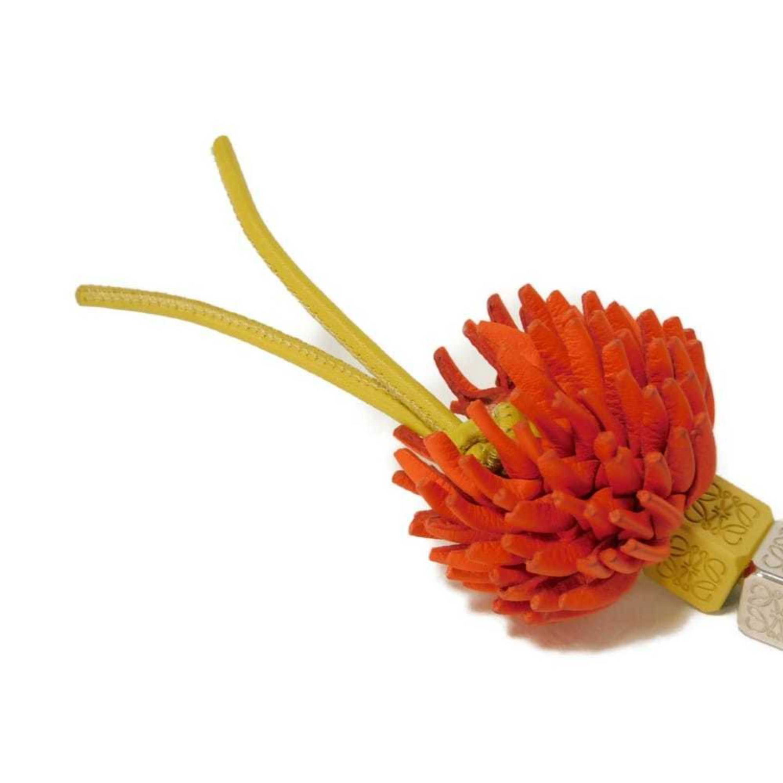 Charm Loewe Handbag - 4