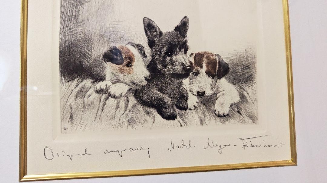 Framed Kurt Meyer-Eberhardt Puppies Etching Hand-Colored Original Engraving: Framed Kurt Meyer-Eberhardt Puppies Etching Hand-Colored Original Engraving This listing features Framed Kurt Meyer-Eberhardt Puppies Etching Hand-Colored Original Engraving. Item specifics are provid