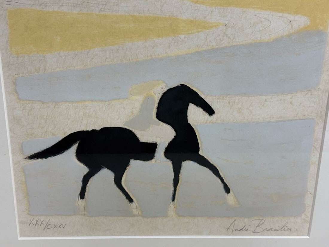 Framed Authentic Andre Brasilier Lithograph "Flanders Coast" Signed - 4