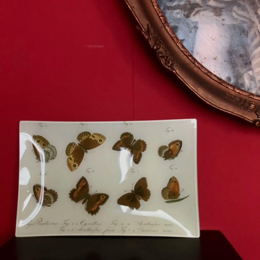 inches John Derian Decoupage Rectangle Plate Platter Butterfly 13.8 x 8.7: inches John Derian Decoupage Rectangle Plate Platter Butterfly 13.8 x 8.7 This listing features inches John Derian Decoupage Rectangle Plate Platter Butterfly 13.8 x 8.7. Item specifics are provided b