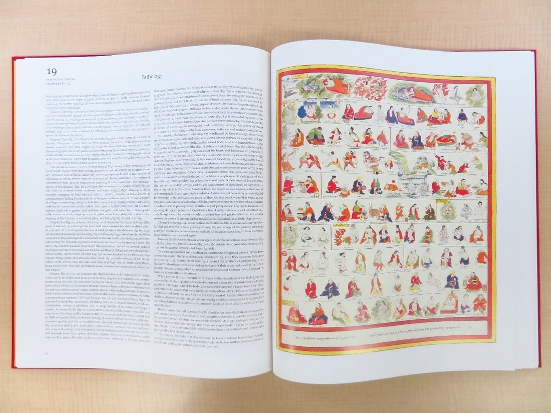 Rare Complete Set - Tibetan Medical Paintings by Gyurme Dorje - 1992 - 2 Volumes: Rare Complete Set - Tibetan Medical Paintings by Gyurme Dorje - 1992 - 2 Volumes This listing features Rare Complete Set - Tibetan Medical Paintings by Gyurme Dorje - 1992 - 2 Volumes. Item specifics