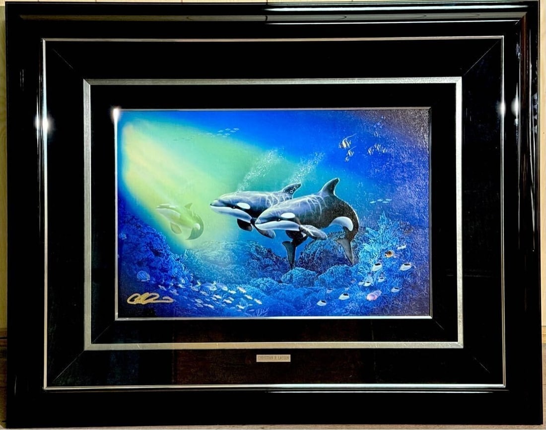 COA Christian Riese Lassen Order Works Signed Dolphin Orca Art Framed: COA Christian Riese Lassen Order Works Signed Dolphin Orca Art Framed This listing features COA Christian Riese Lassen Order Works Signed Dolphin Orca Art Framed. Item specifics are provided below. It