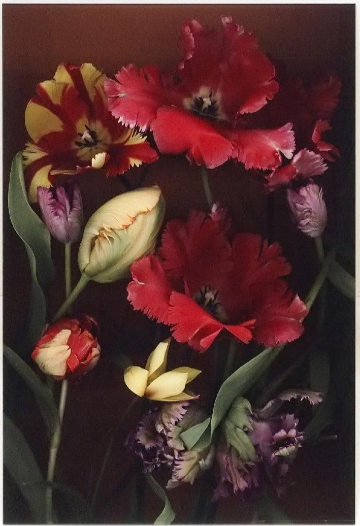 Art Luzia Simons Stockage 157 Signed Diasec LightJet Print Contemporary: Art Luzia Simons Stockage 157 Signed Diasec LightJet Print Contemporary This listing features Art Luzia Simons Stockage 157 Signed Diasec LightJet Print Contemporary. Item specifics are provided below