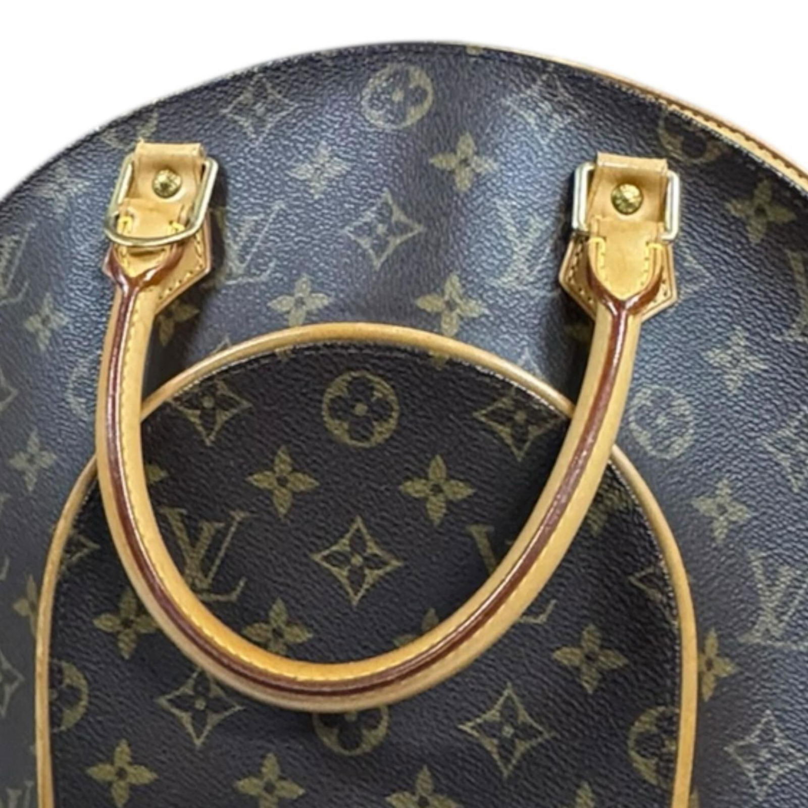 Monogram Louis Vuitton Handbag - 16