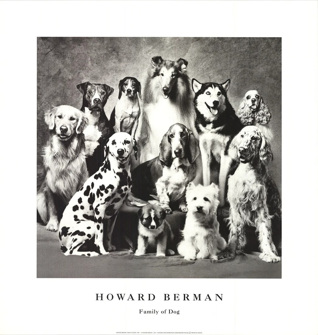 Photography HOWARD BERNMAN Family of Dog 23" x 22" Offset Lithograph 1989 (1 of 4)