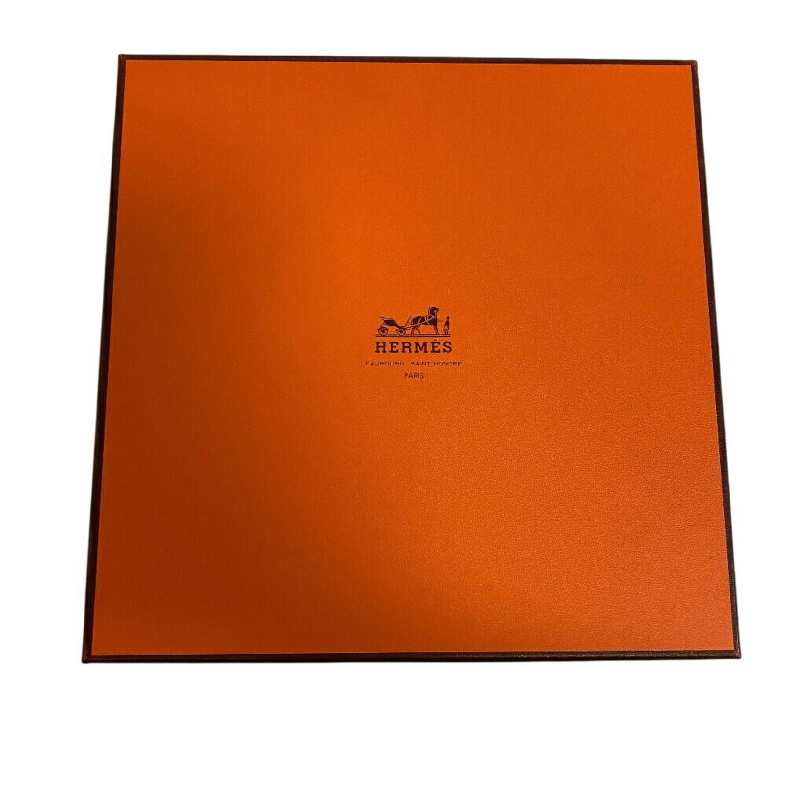 Silk Hermes Scarf - 14