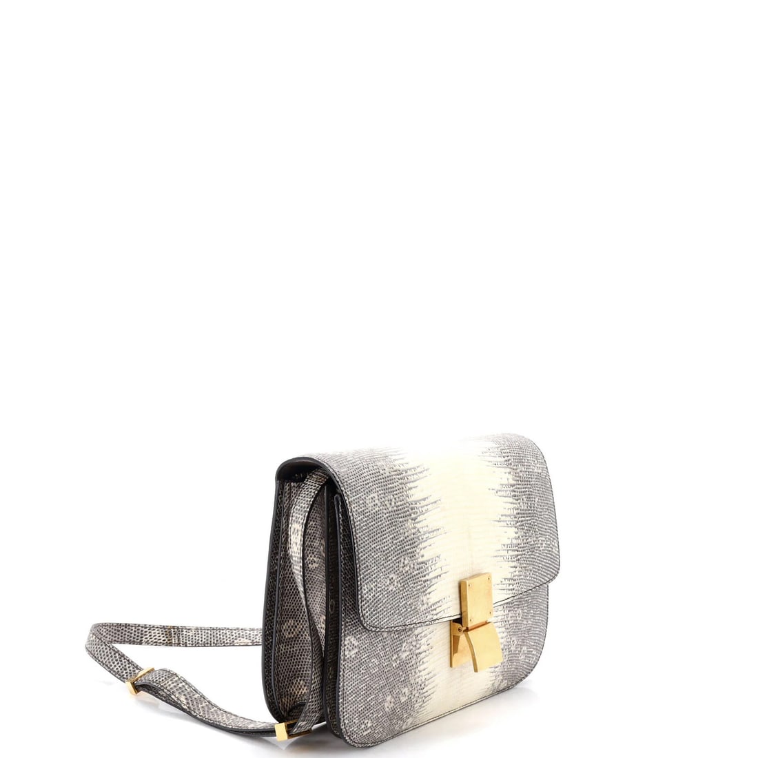 Medium Celine Classic Box Bag Lizard - 2