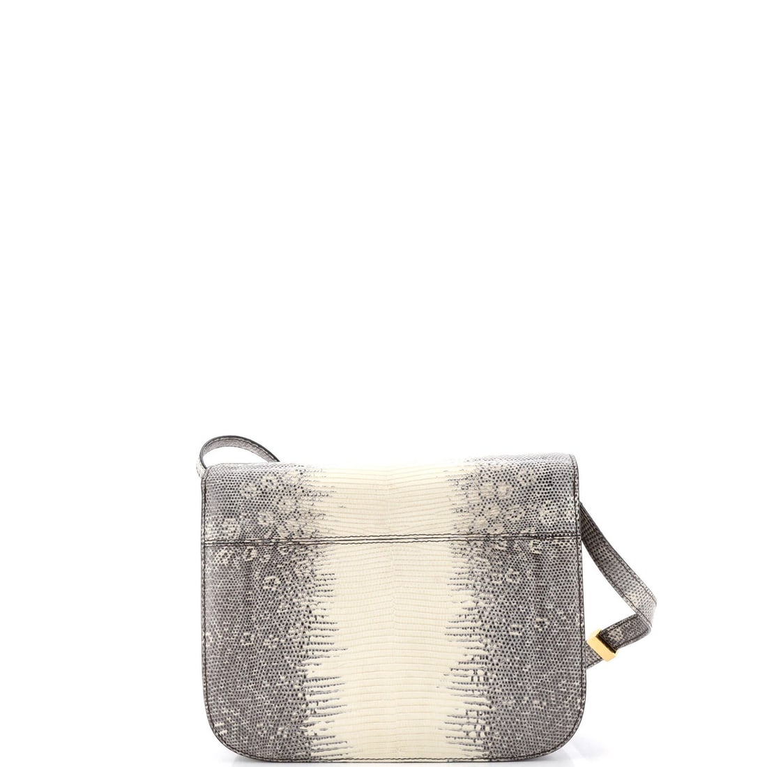 Medium Celine Classic Box Bag Lizard - 3
