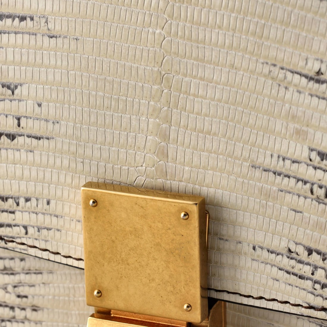 Medium Celine Classic Box Bag Lizard - 6