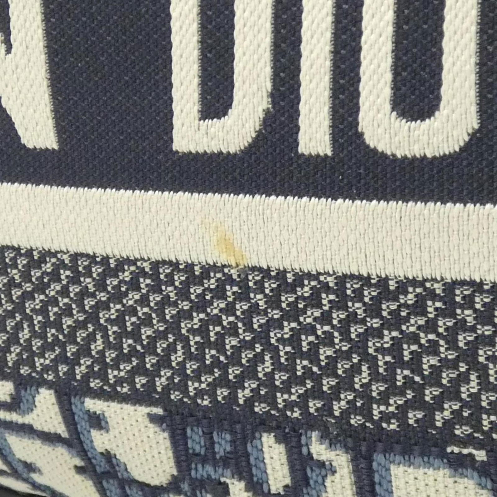 Canvas Christian Dior Backpack - 5