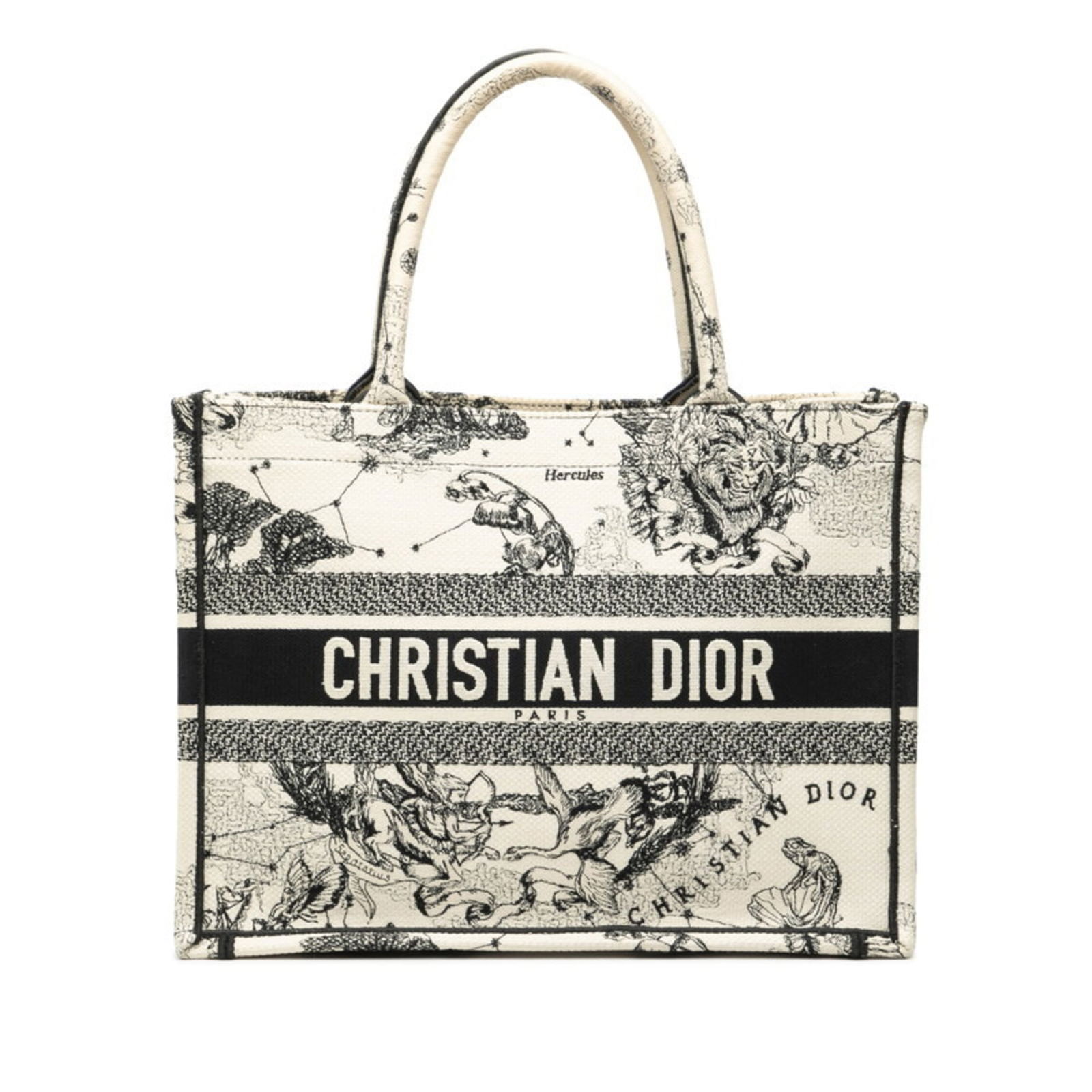 Canvas Christian Dior Tote Bag: Canvas Christian Dior Tote Bag This listing features Canvas Christian Dior Tote Bag. Item specifics are provided below. Item Specifics: Brand: Christian Dior Type: Tote Bag Material: Canvas Color: