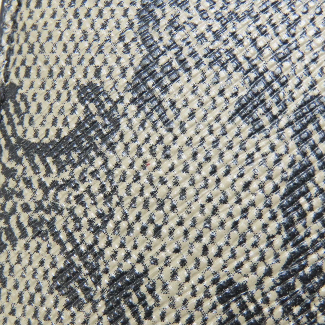 PVC CELINE Triomphe Card Case - 9