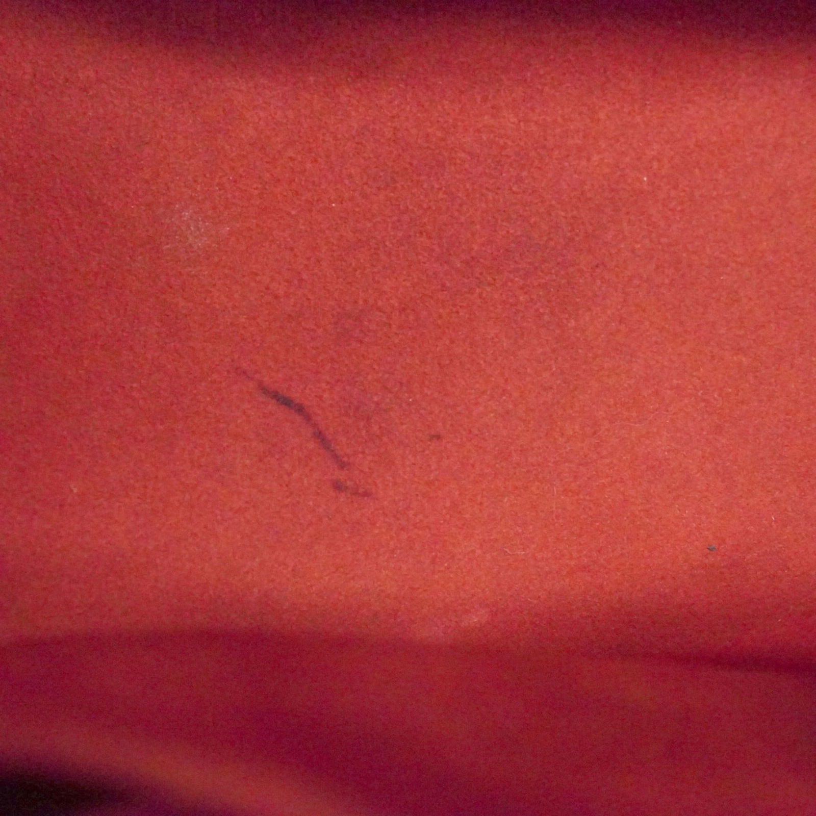 Handbag Louis Vuitton - 11