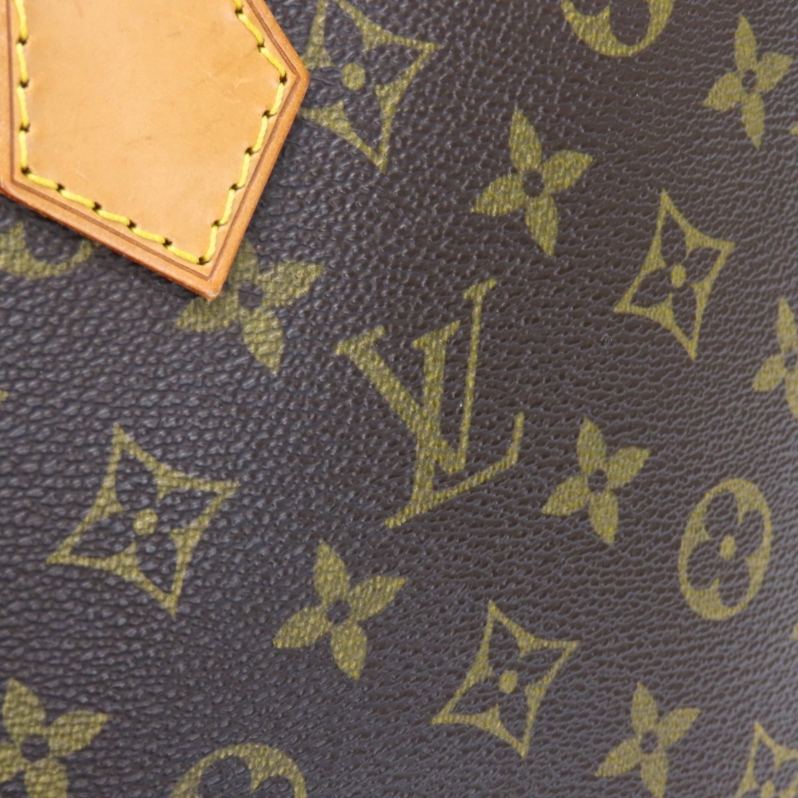 Monogram Louis Vuitton Handbag - 13