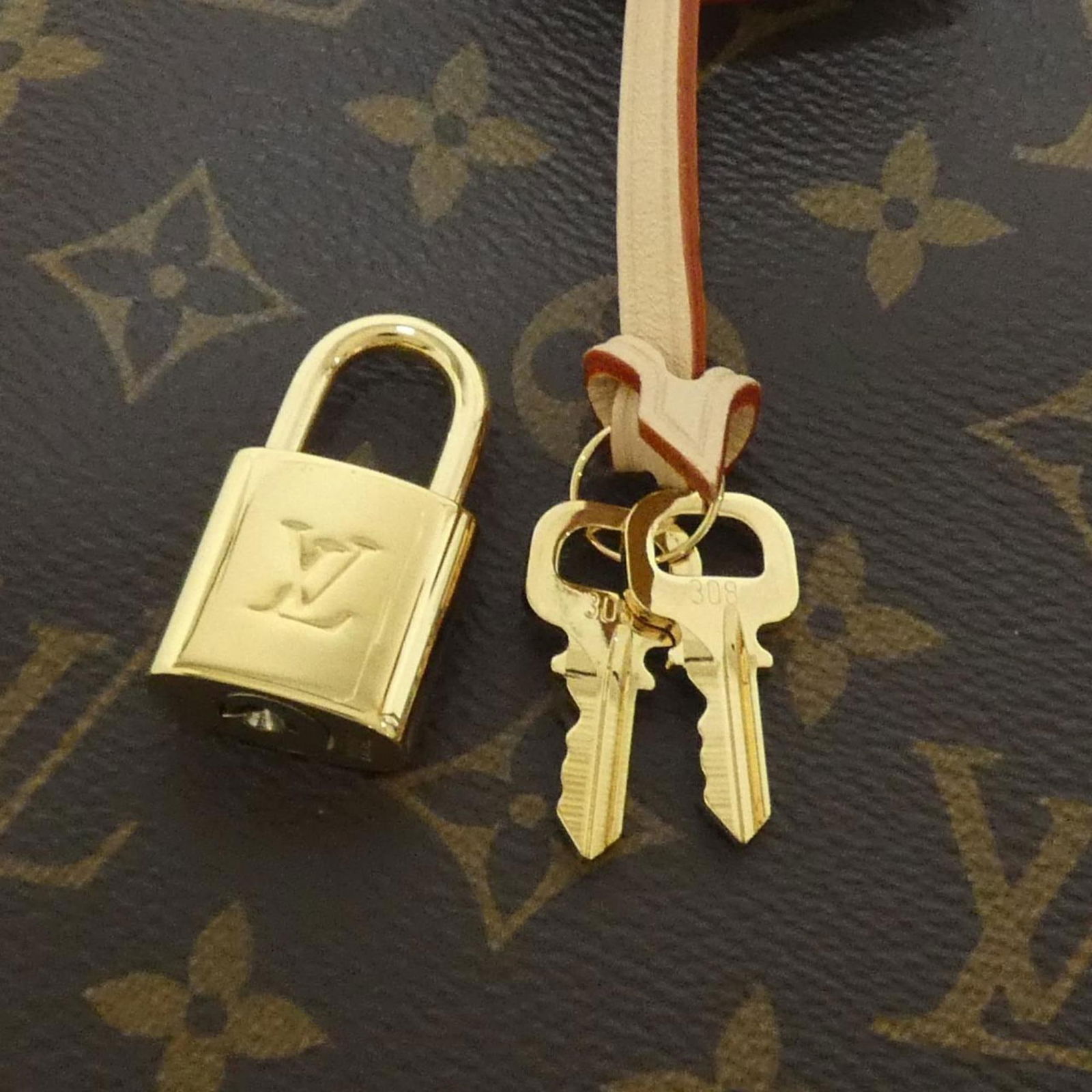 Canvas Louis Vuitton Backpack Coated - 4