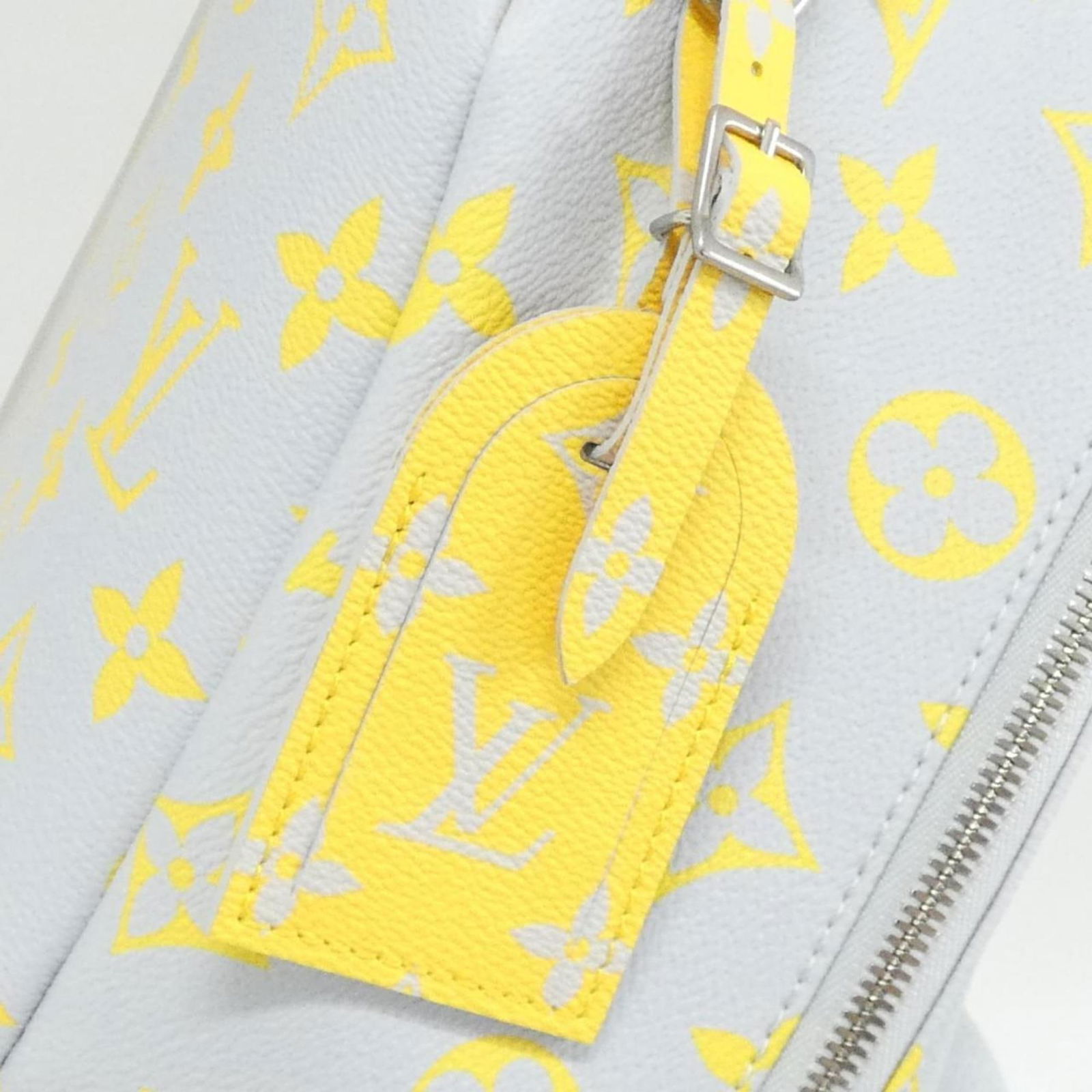 Canvas Louis Vuitton Backpack Coated - 4