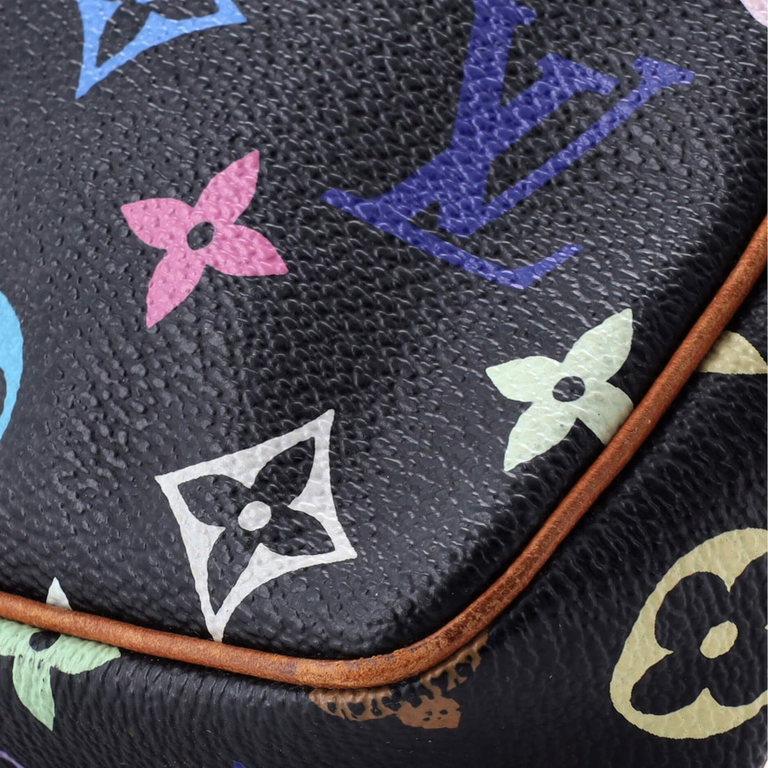 Multicolor Louis Vuitton Pochette Accessoires Monogram - 6