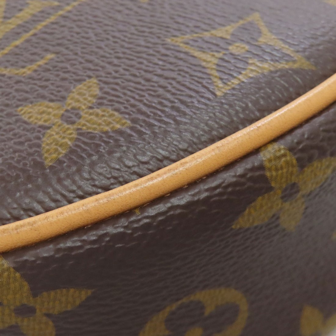 canvas LOUIS VUITTON M81098 loop Handbag Monogram - 20