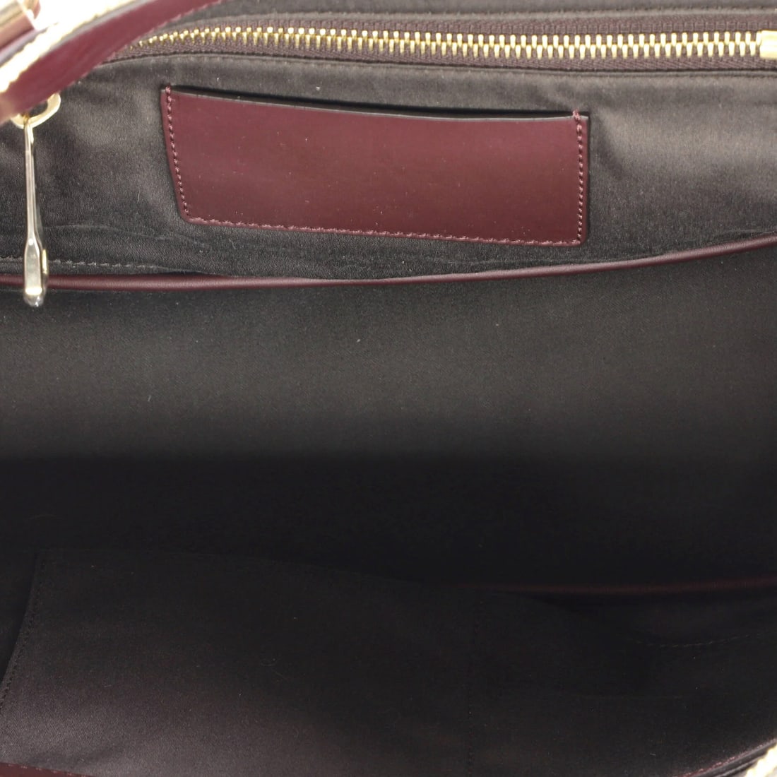 Small Chloe Baylee Satchel Python - 5