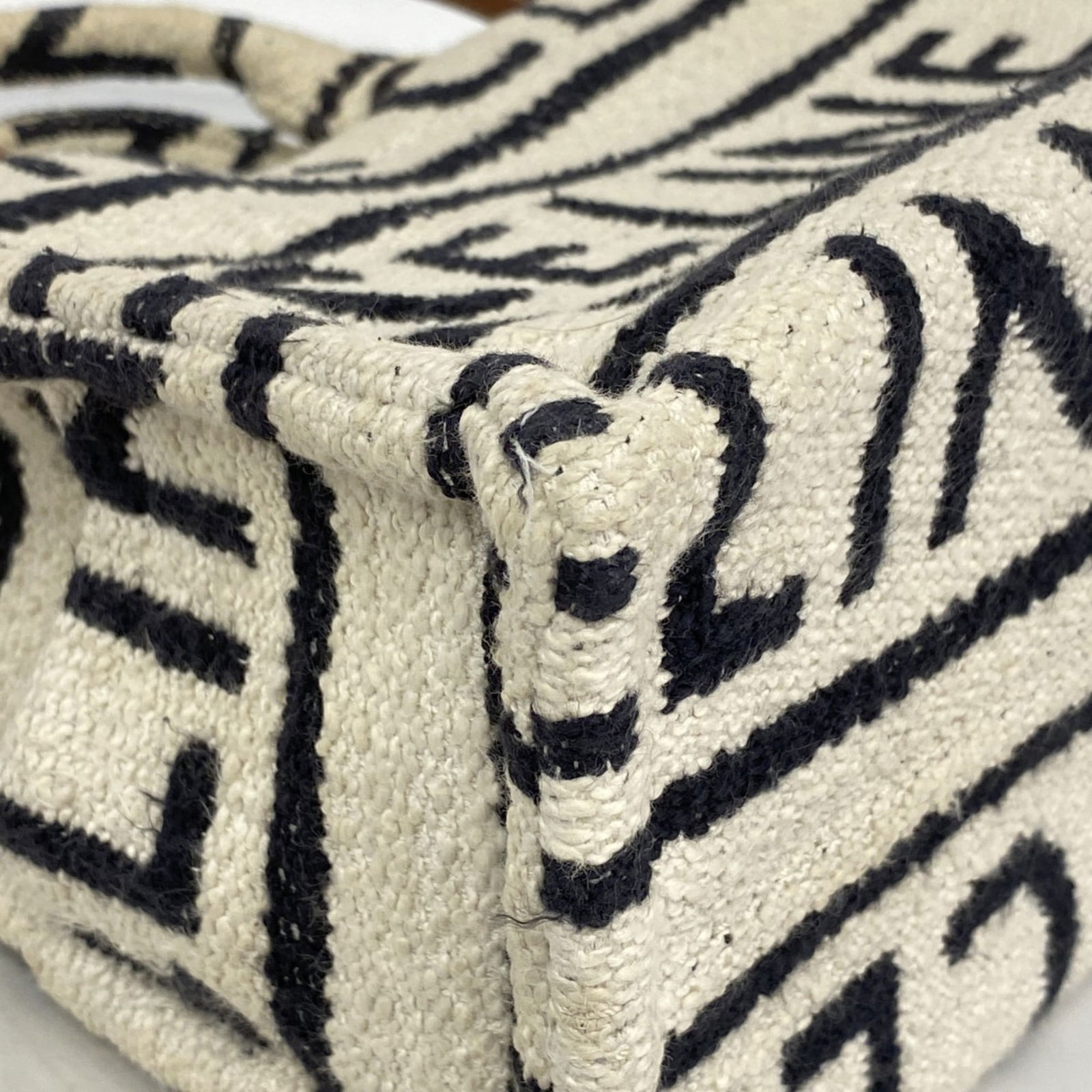 Canvas Celine Handbag - 6