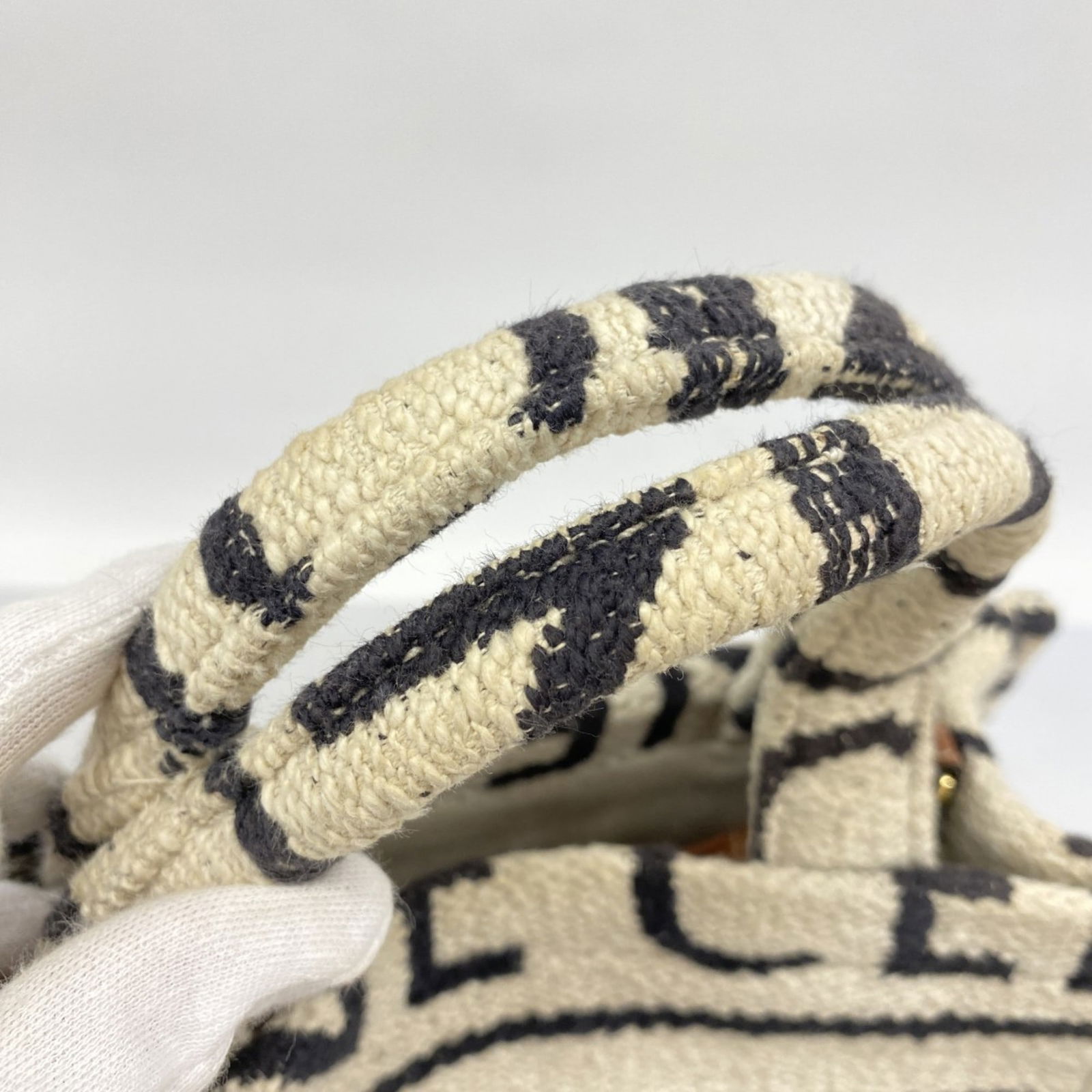 Canvas Celine Handbag - 8