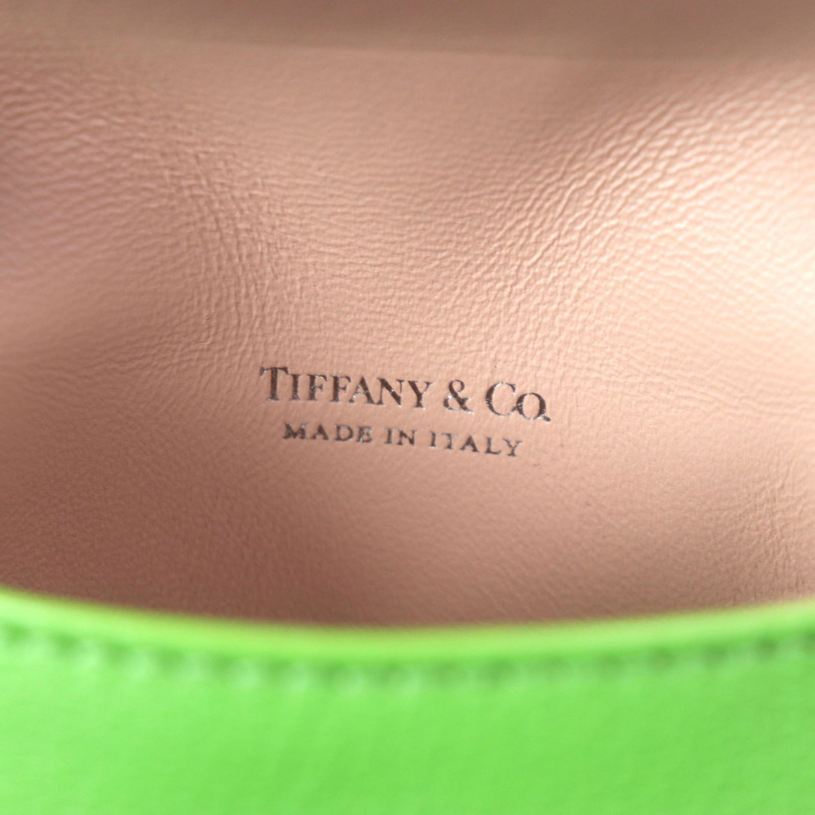 Charm Tiffany Handbag - 9