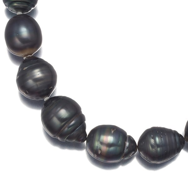 13.6Mm Necklace Silver - Black South Sea Pearl 9.6: 13.6Mm Necklace Silver - Black South Sea Pearl 9.6 This listing features 13.6Mm Necklace Silver - Black South Sea Pearl 9.6. Item specifics are provided below. Item Specifics: Metal: Silver Metal