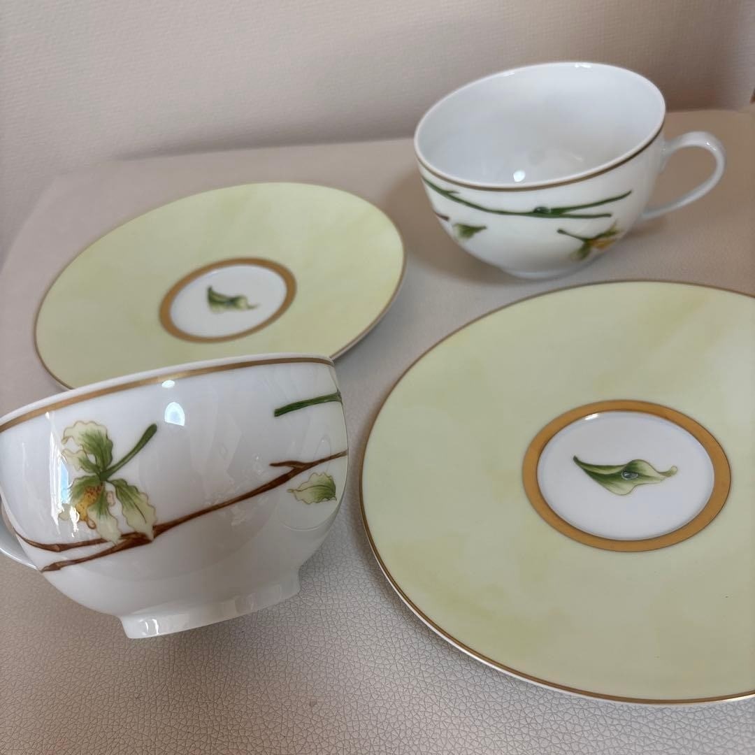 France Mdard de Noblat Limoges Jardin de Flore Tea Cup & Saucer Set of 2 (1 of 19)