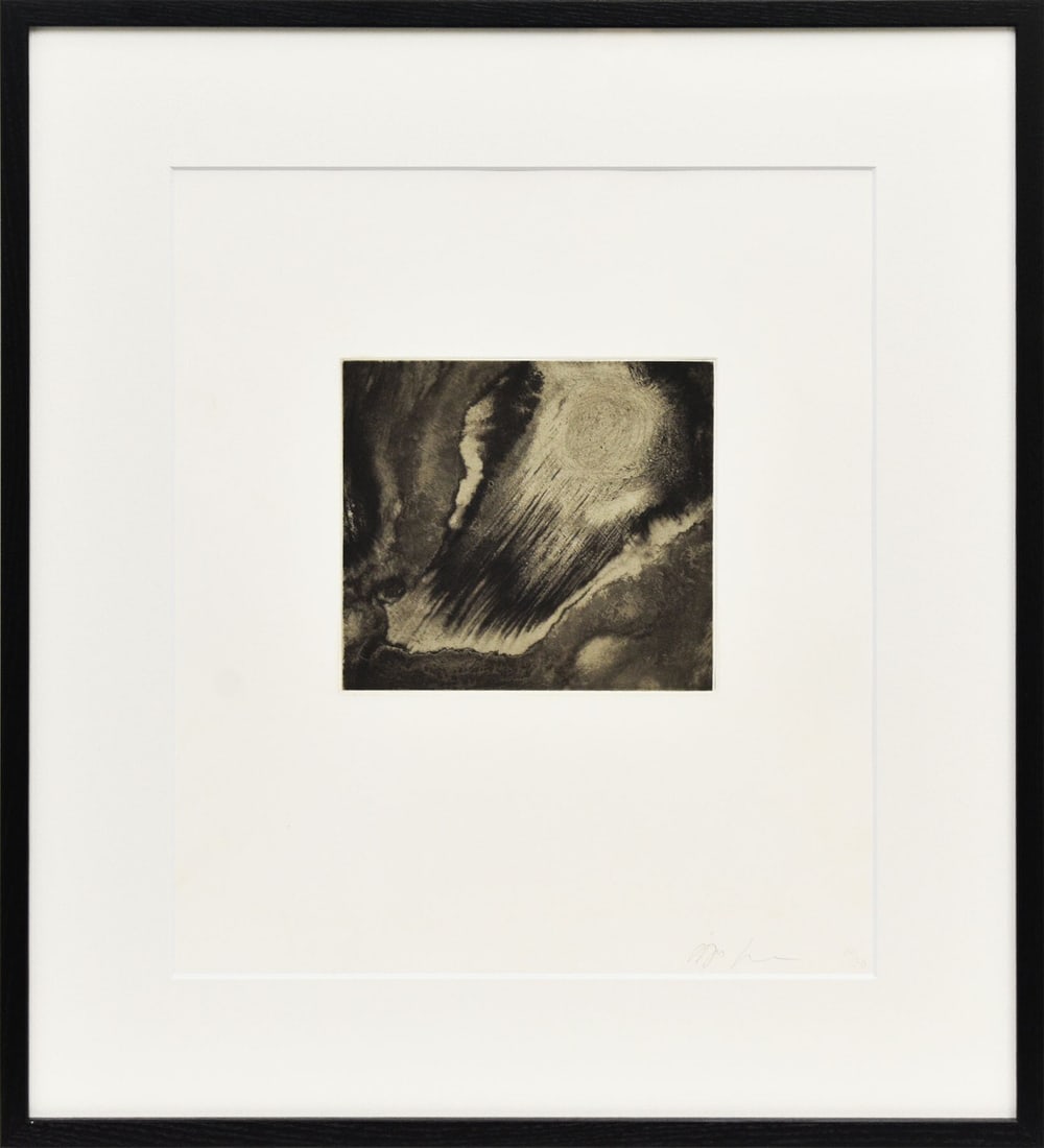 9 Anish Kapoor Original Etching Pencil Signed Numbered Framed ED30 Jacob Samuel (1 of 8)