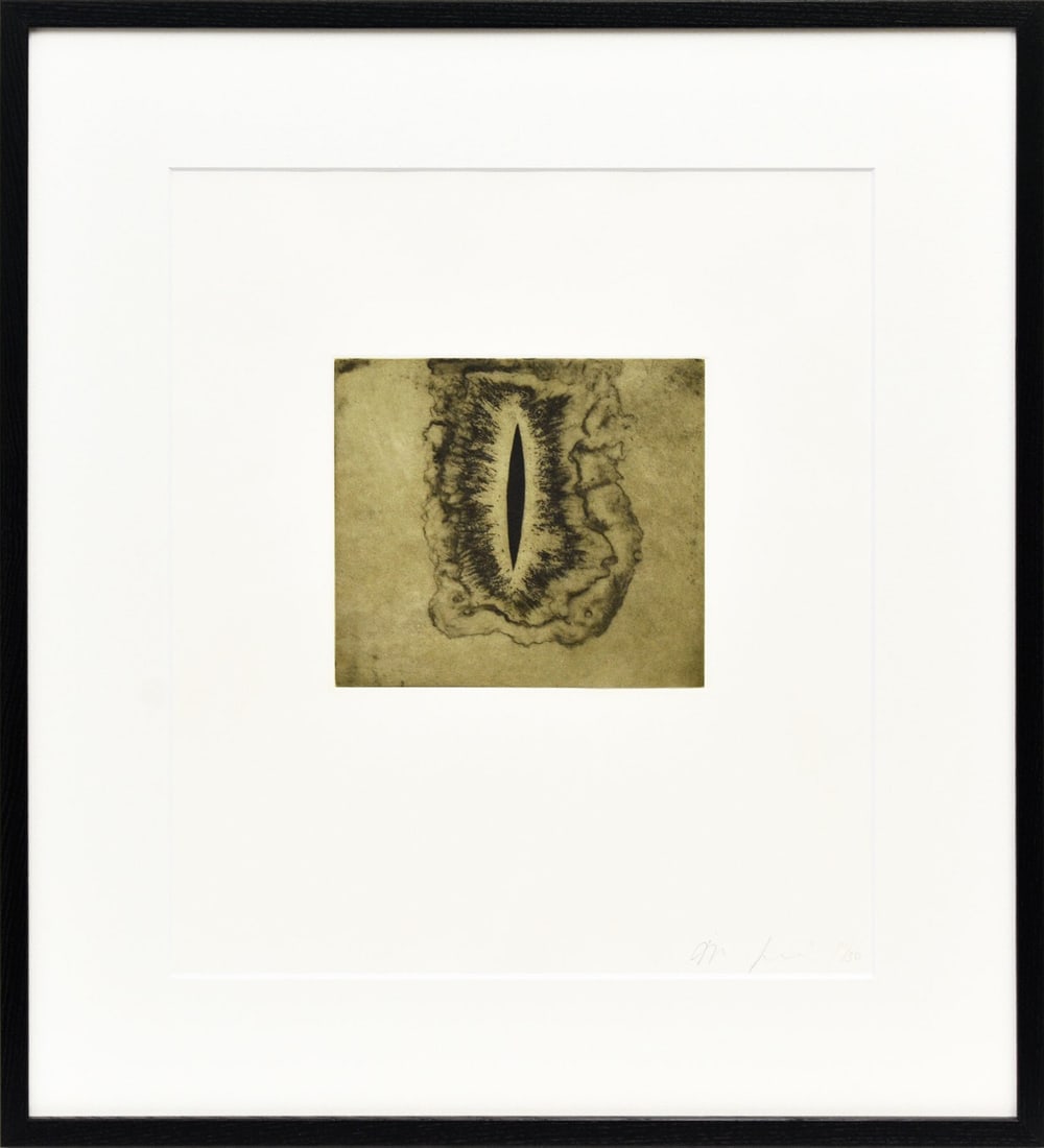 Samuel Anish Kapoor Original Etching Pencil Signed Numbered Framed ED30 Jacob (1 of 8)