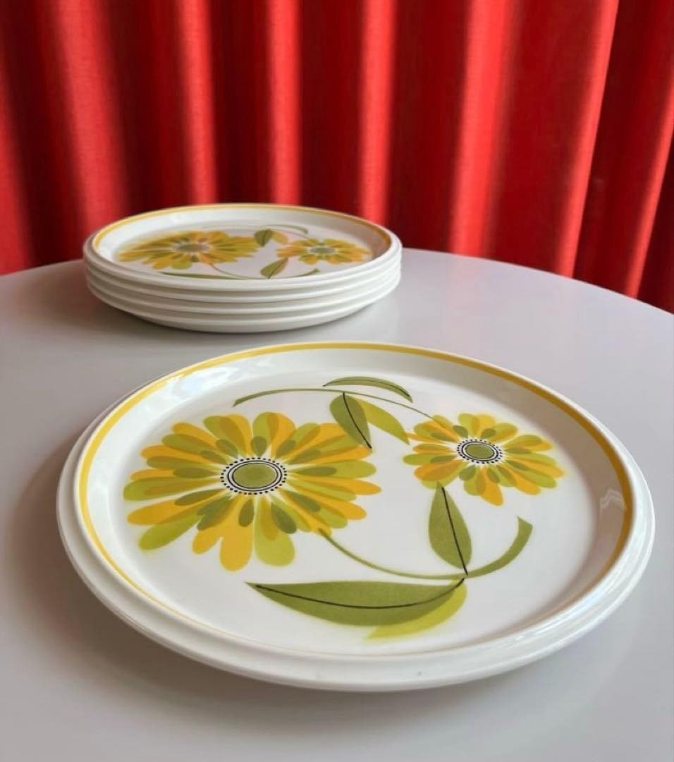 Vintage MIKASA Light Lively Flower Plates set of 5 D10.7" Mid-century Japan: Vintage MIKASA Light Lively Flower Plates set of 5 D10.7" Mid-century Japan This listing features Vintage MIKASA Light Lively Flower Plates set of 5 D10.7" Mid-century Japan. Item specifics are