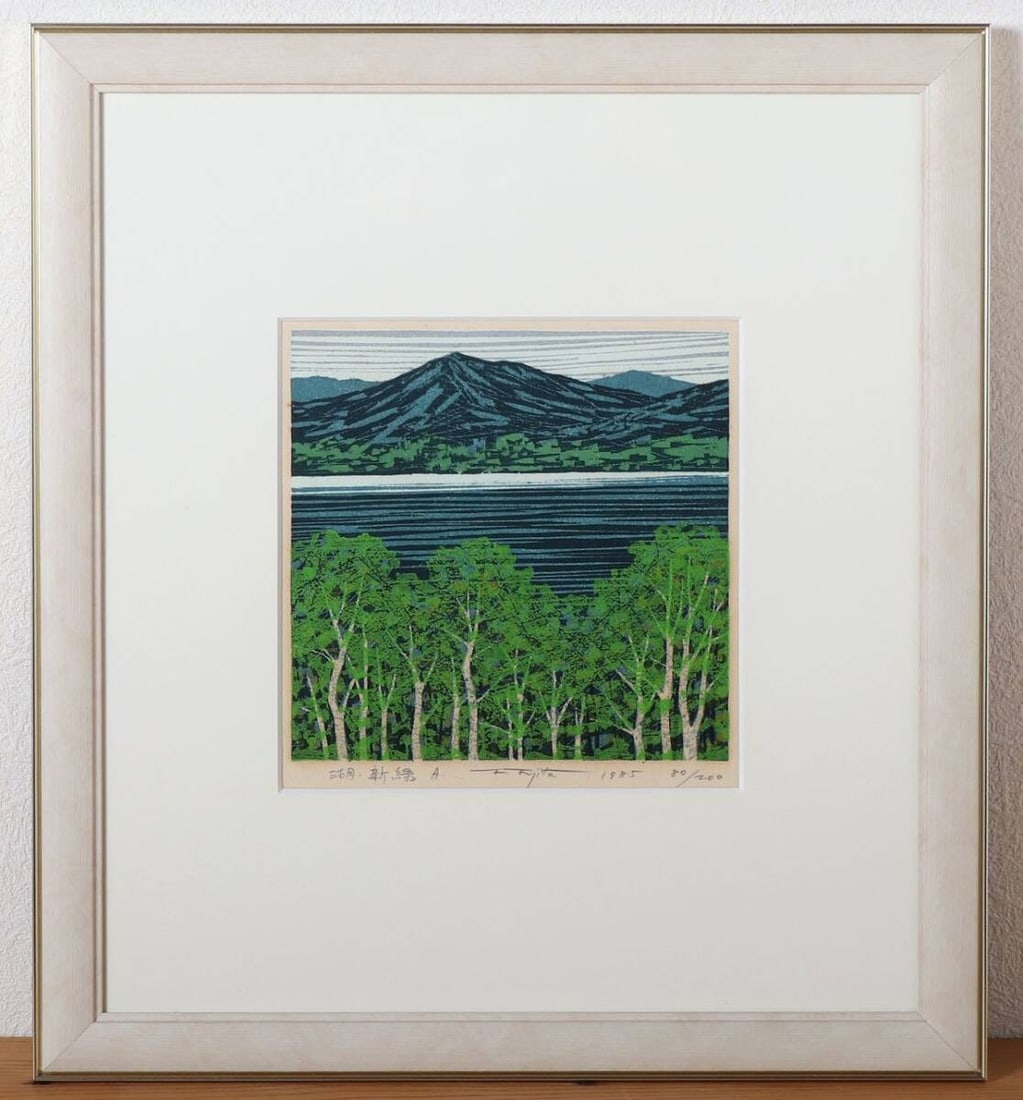 Box Fumio Fujita Lake Fresh Greenery Woodblock 1985 Signed ED 80/ 200 Framed With (1 of 7)