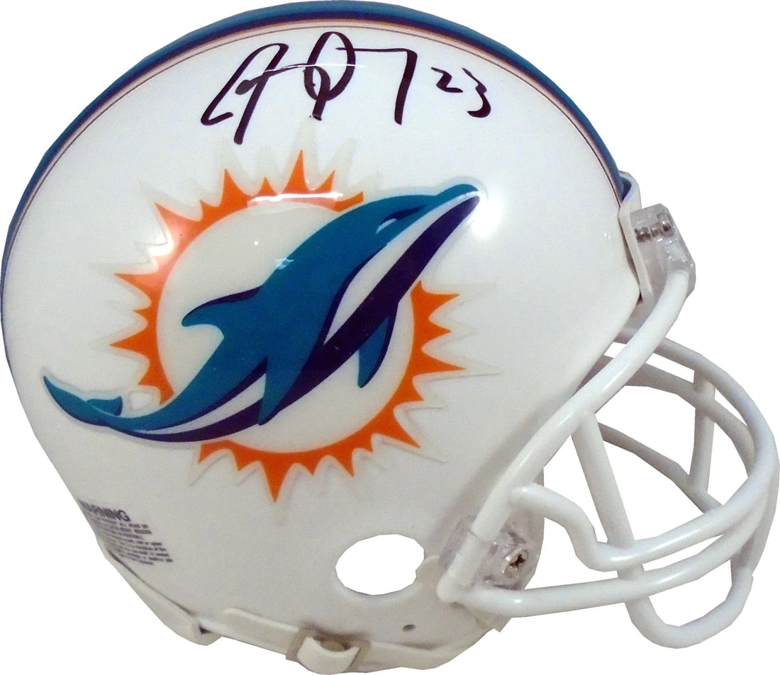 Helmet Jay Ajayi Autographed Dolphins Mini (1 of 1)