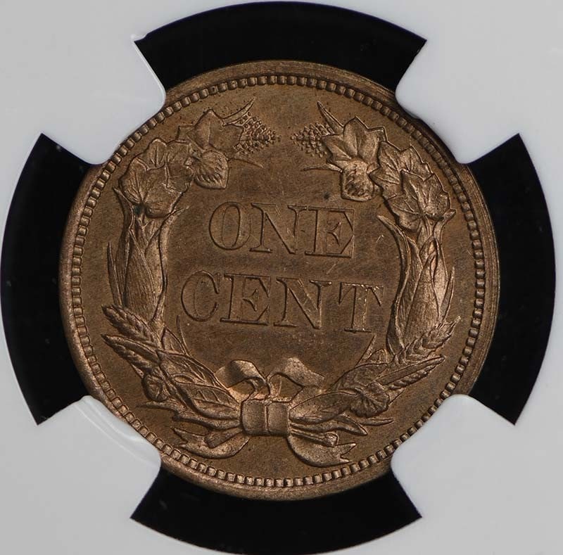 PR65 1856 Flying Eagle Cent 1C NGC - 3